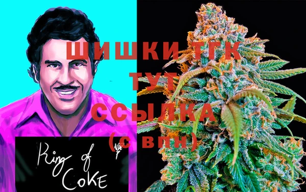 бошки Алексин