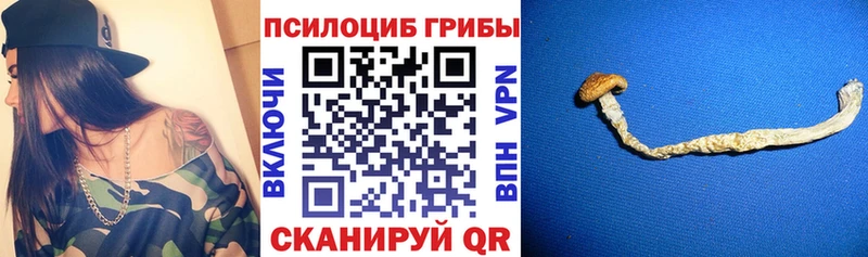 Галлюциногенные грибы Cubensis  Кимры 