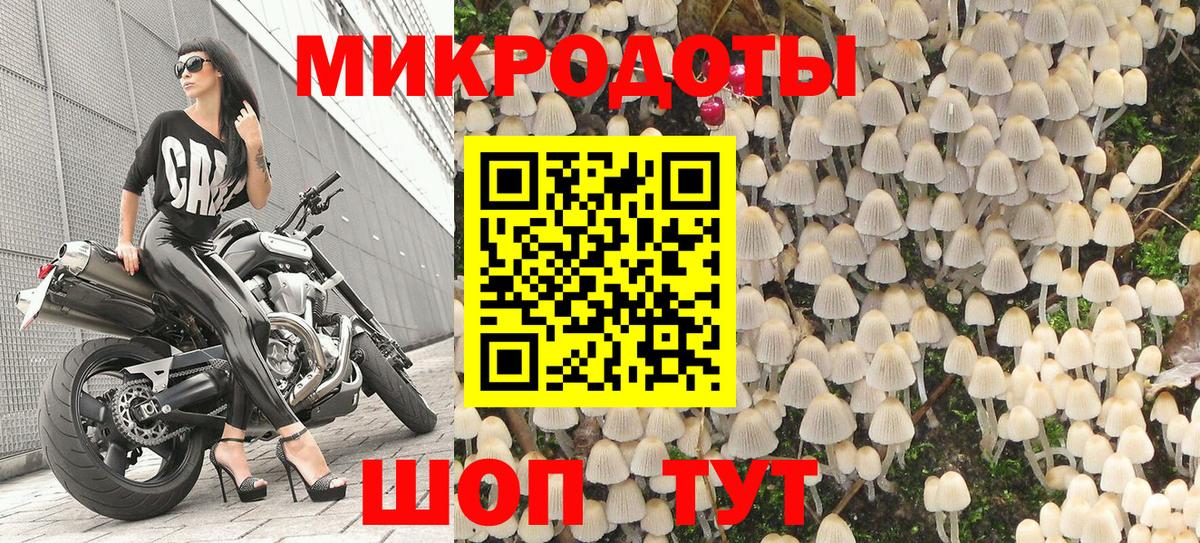 Кимры  что такое   Вход с VPN  Галлюциногенные грибы ЛСД 