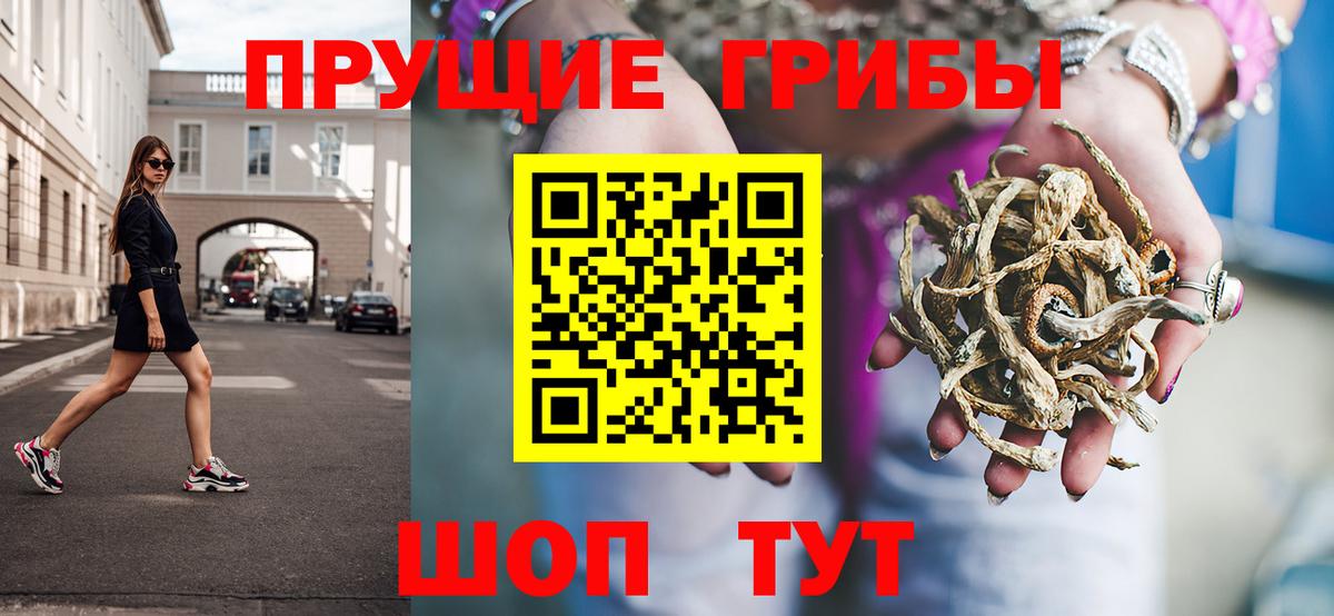Псилоцибиновые грибы мицелий Кимры
