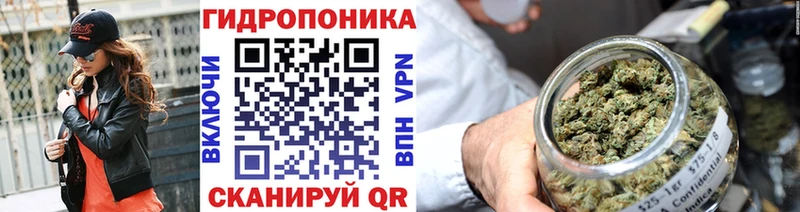 Канабис семена Кимры